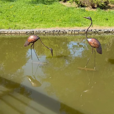 OŚRODEK WYPOCZYNKOWY NAD STAWEM - przy promenadzie, wybierany przez Gości ceniących ciszę i komfortowy wypoczynek w bezpośrednim sąsiedztwie parku zdrojowego z tężnią solankową-3