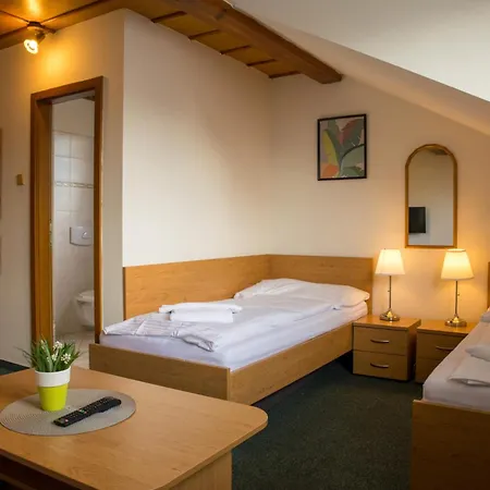 Hotel Kanarek-3