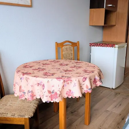 Róża Wiatrów-2