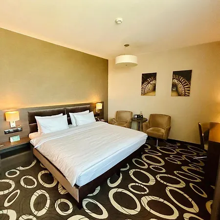 Holiday Inn Dąbrowa Górnicza-Katowice, an IHG Hotel-3