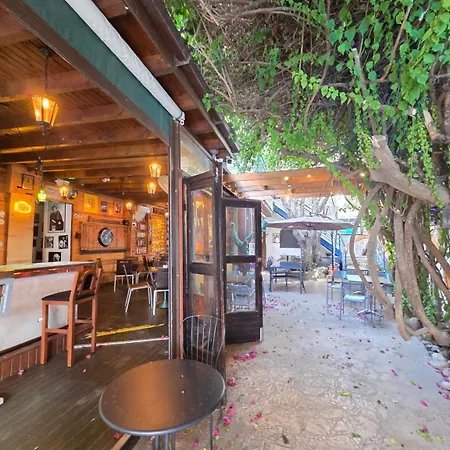 Harrys Inn Guesthouse-2