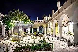 Olive Grove Beachfront-3