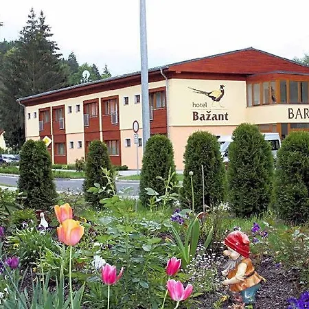 Hotel Bazant-3