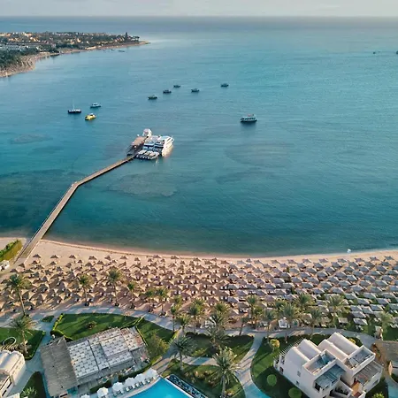 Jaz Neo Saraya Palms-2