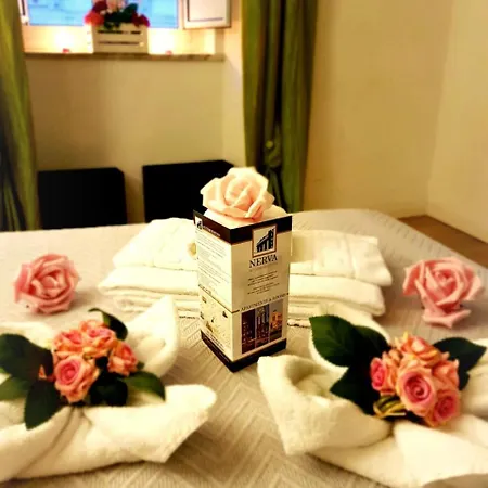 Nerva Accommodation-2