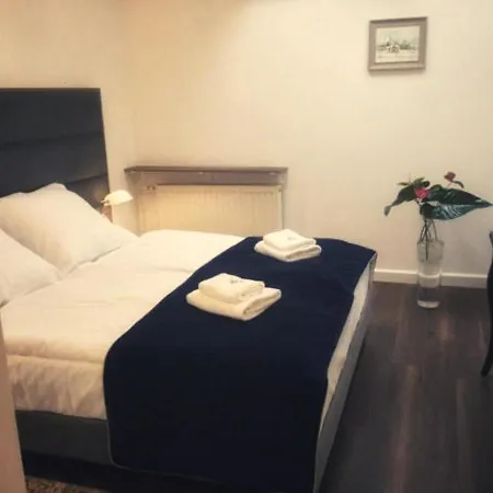 Hotel Fortuna-3