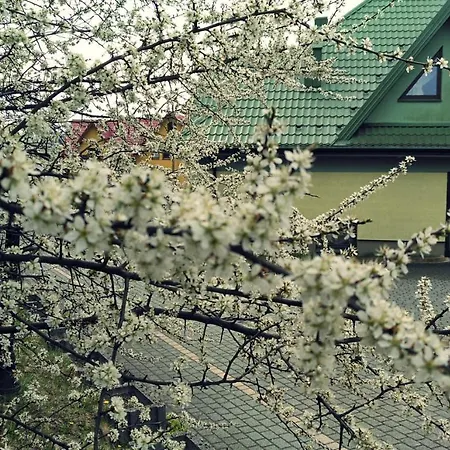 Centrum Wypoczynku i Rehabilitacji Umina-2