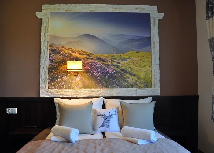 Bed and Breakfast Ow. Orla Perc Murzasichle