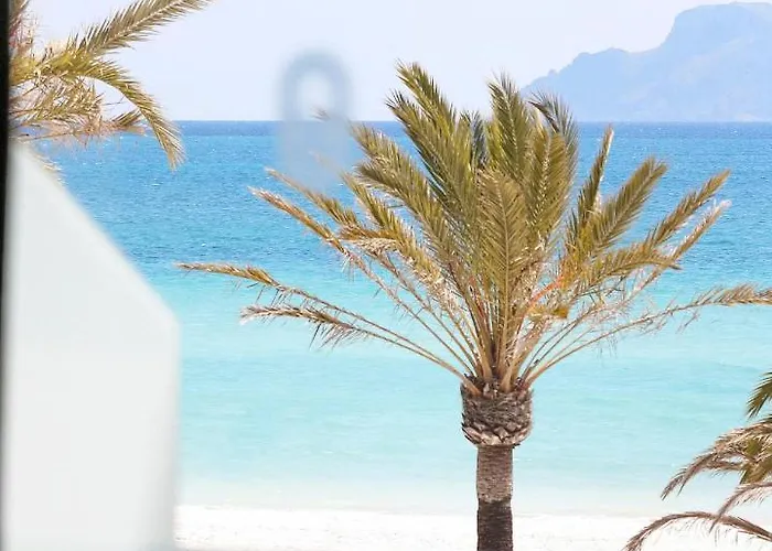Bonavida Apartments Port de Alcudia 