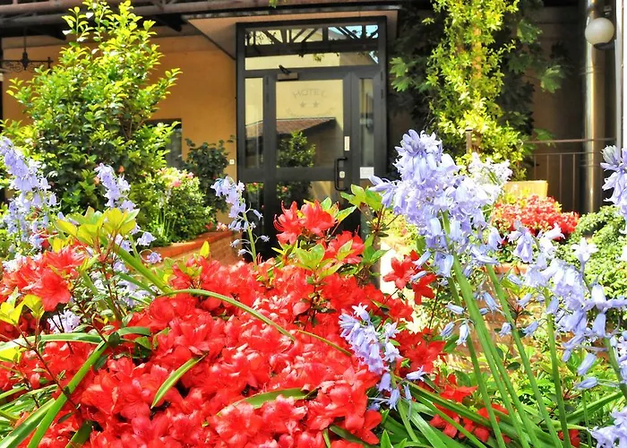 Hotel San Siro Fiera Mediolan