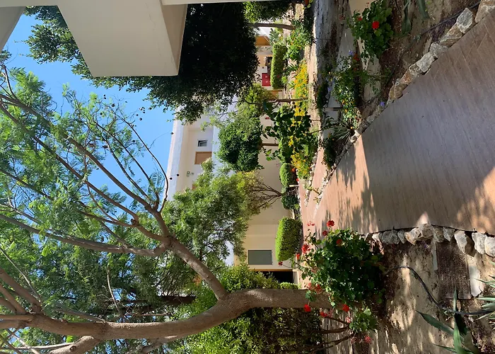 Anavadia Hotel By Anayia All Inclusive Resorts Kolymbia