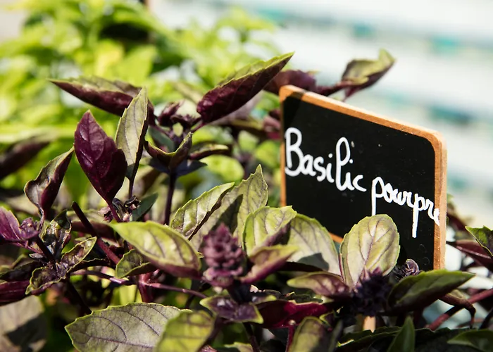 Radisson Blu Hotel Nicea