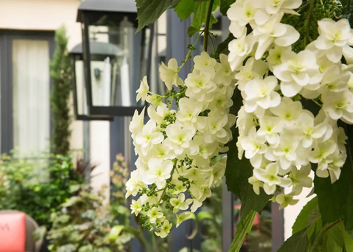 Hotel Villa Madame - Saint-Germain-Des-Pres Paryż