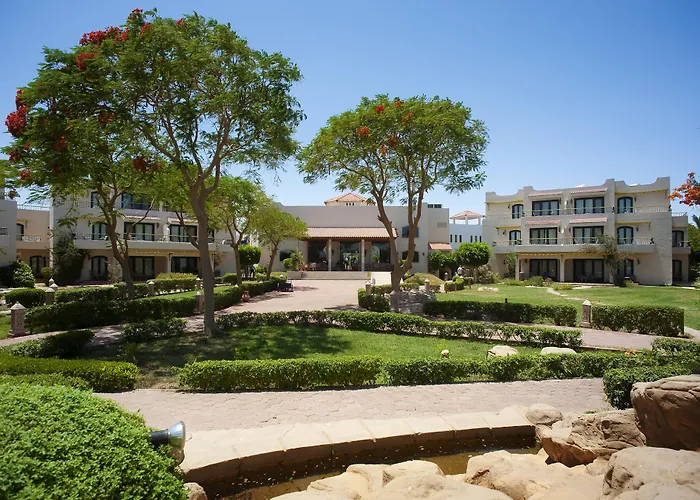 Lotus Bay Resort Safadża