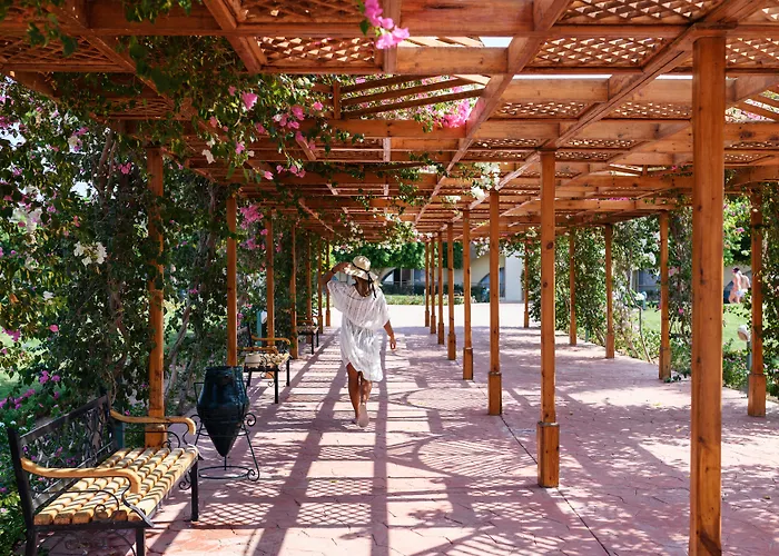 Desert Rose Hurghada