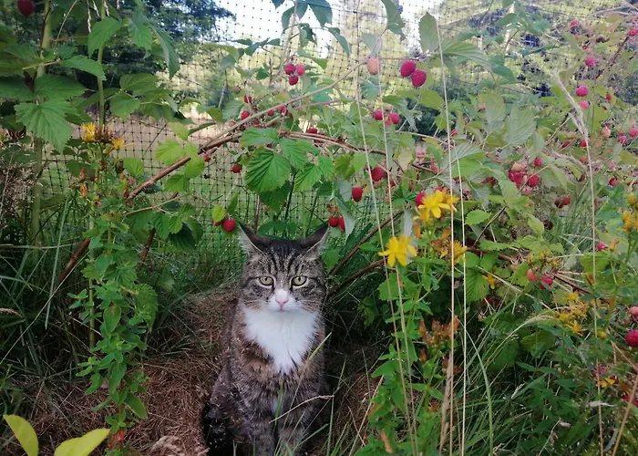 Villa Nostalgia Szklarska Poręba