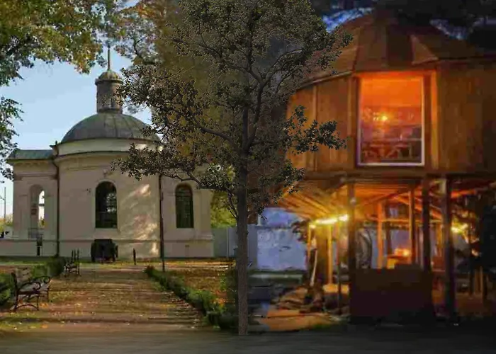 Nocleg W Koronach Drzew Kutno