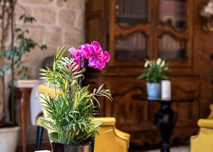 Hotel Minerve Paryż