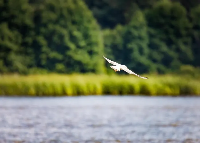 Hotel Pan Tadeusz Serock