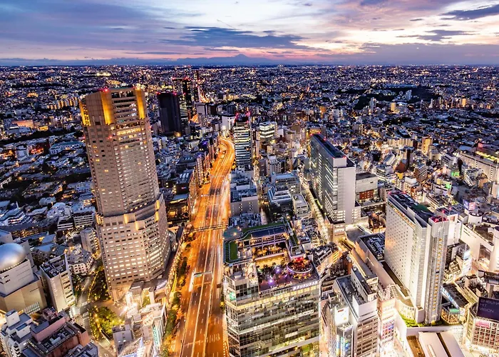 Cerulean Tower Tokyu Hotel, A Pan Pacific Partner Hotel Tokio