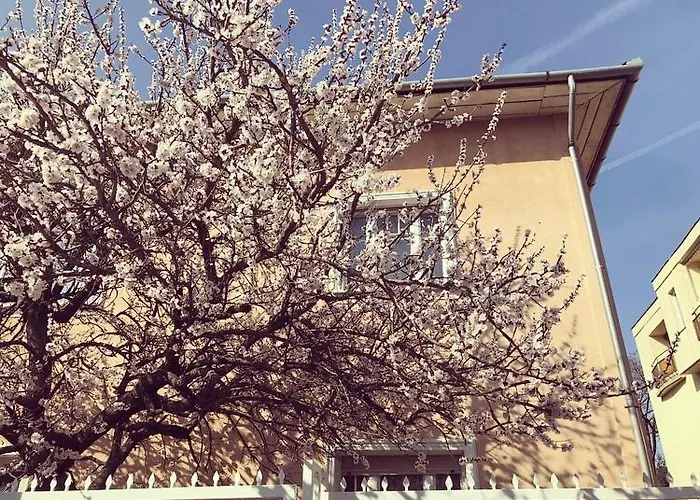 Kis Gellert Guesthouse Budapeszt