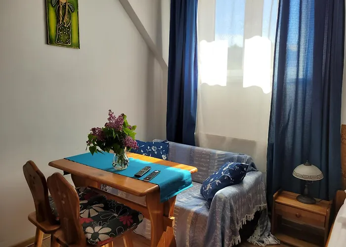 Bed and Breakfast Oberża Pod Kudłatym Aniołem Cisna