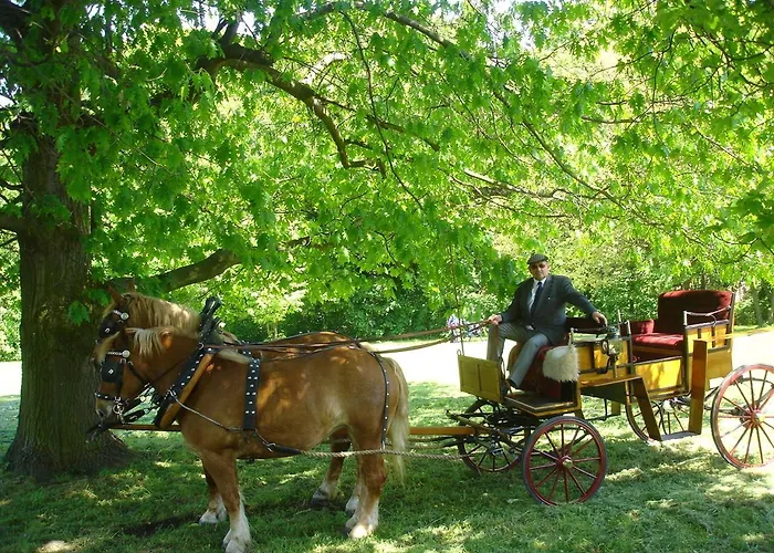 Hotel Stara Stajnia Pleszew