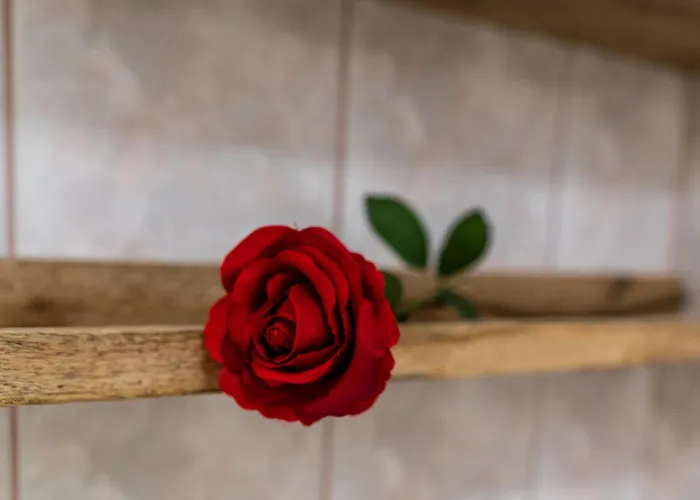 Liberta INN - Pokoje Gościnne Zakopane