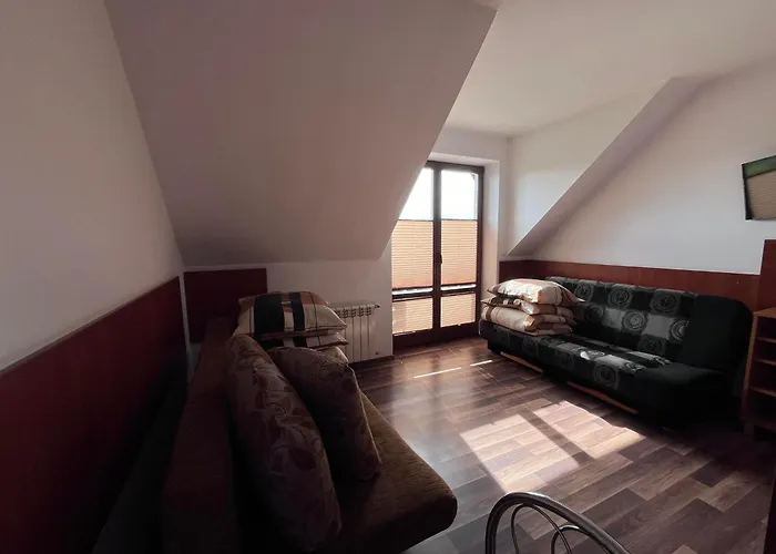 Willa Pod Dębami - SALA ZABAW - Małpi Gaj - blisko centrum Rabka