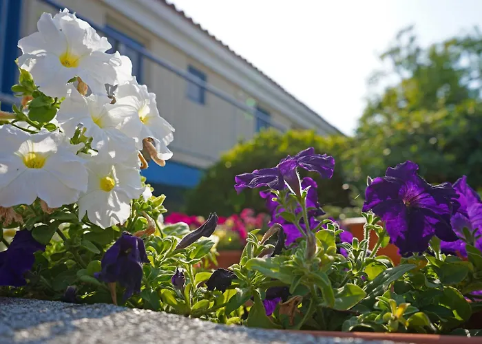 Green Bungalows Hotel Apartments Ajia Napa