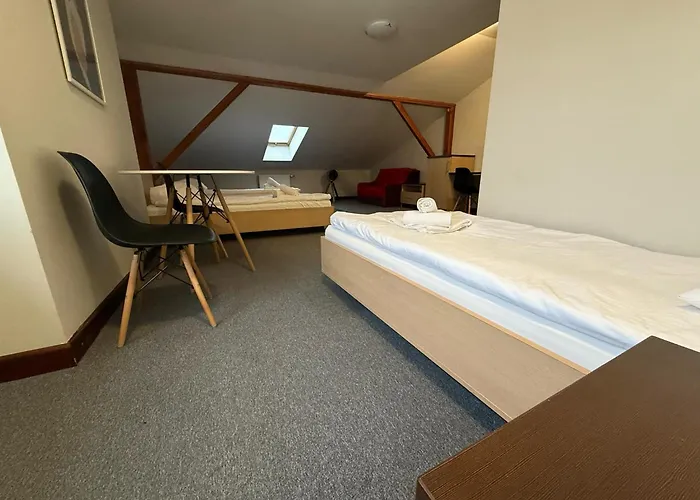 Magiczna Farma Hotel Obiady Mąka i Magia Zambrow