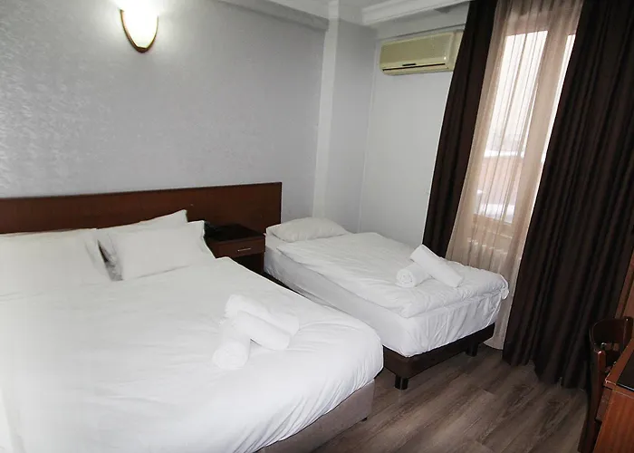 Lyon Hotel Stambuł