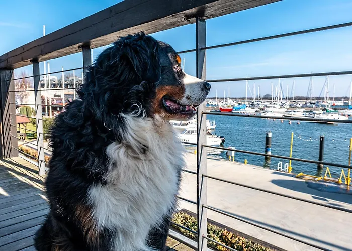 Hotel Galion Gdańsk