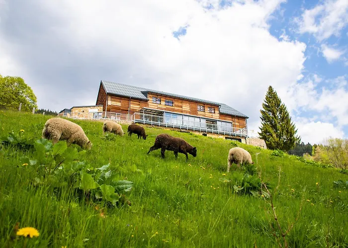 Amenity Hotel & Resort Szpindlerowy Młyn