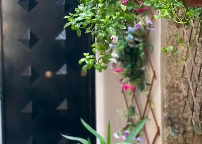Hotel Il Vicoletto Neapol