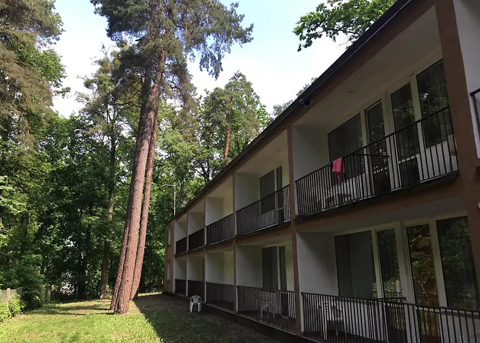 Hotel Leśna Przystań- akceptujemy bony turystyczne Iława