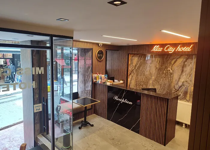 Miss City Hotel Taksim Stambuł
