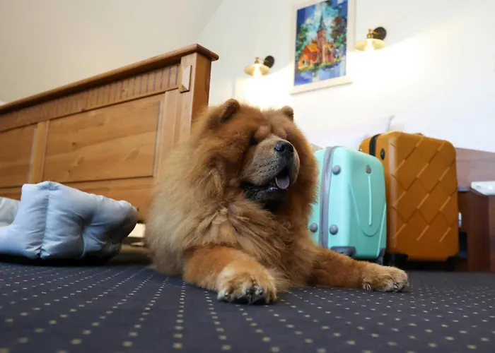 Kraina Jezior Gospoda Ostróda