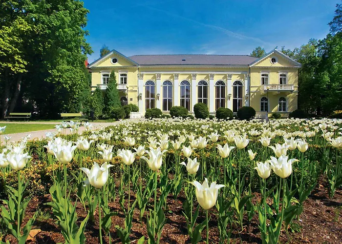 Piastowski26 Jelenia Góra