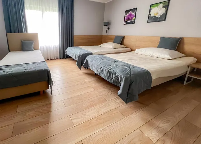 Pokoje De Luxe Figaro Płock