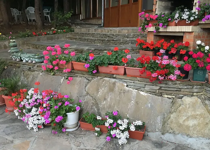 Hotel Zora Słoneczny Brzeg