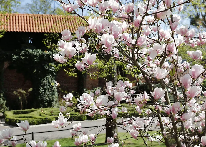 Hotel 1231 Stary Toruń