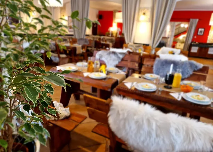 Bed and Breakfast Kamionki Sosnowiec