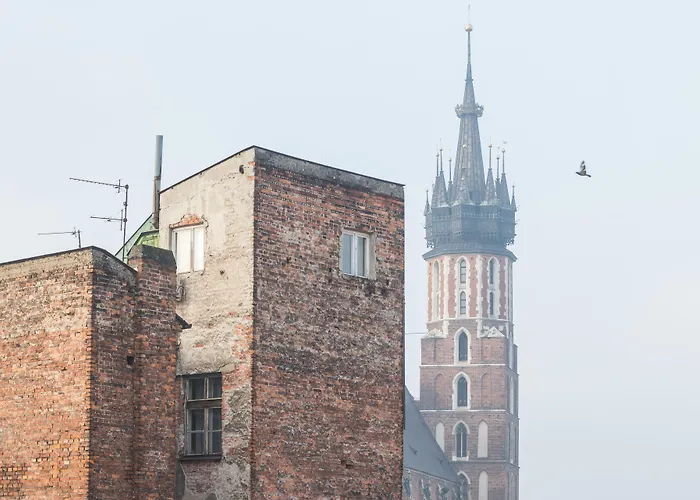NOVUMHOUSE - Straszewskiego Kraków