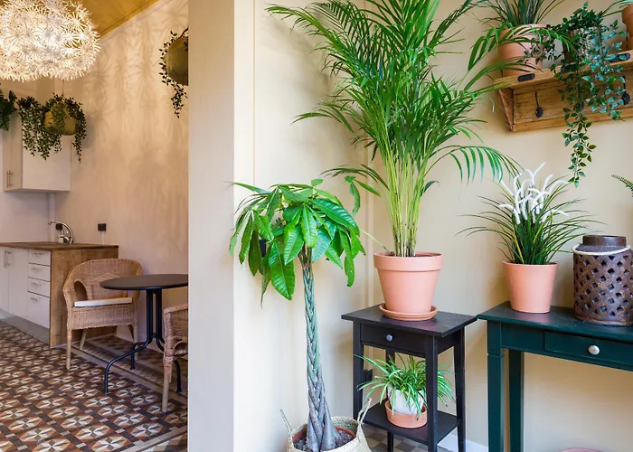 Casa Maca Guest House Barcelona