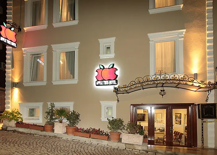 Apple Tree Hotel Stambuł