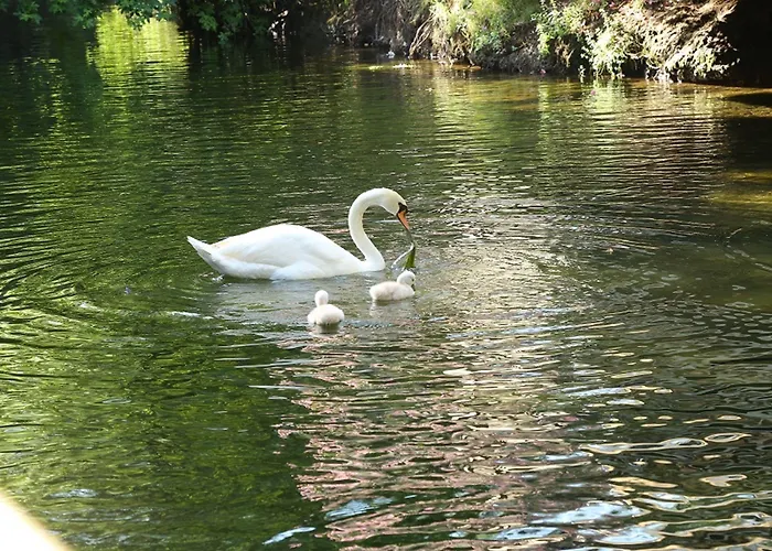 Hotel Golden Key Bordubet Marmaris