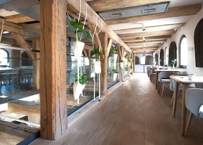 Apartamenty Monka Stary Toruń