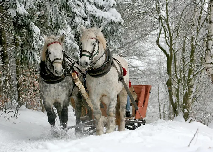 Hotel OW Zakopiec Zakopane