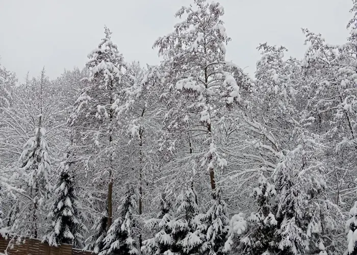 Salis Resort Wieliczka